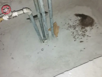 海阳卫生间测漏水价格明细