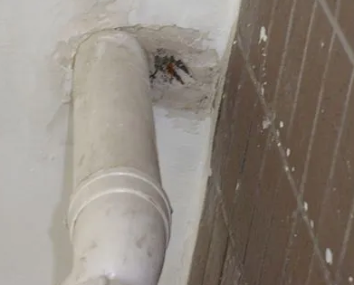 海阳漏水检测哪家好